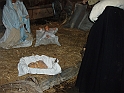 Presepe di Pentema 035